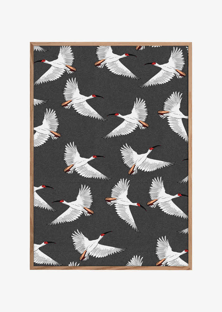Crested Ibis Pattern