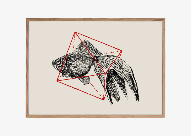 Fish In Geometrics Nº3