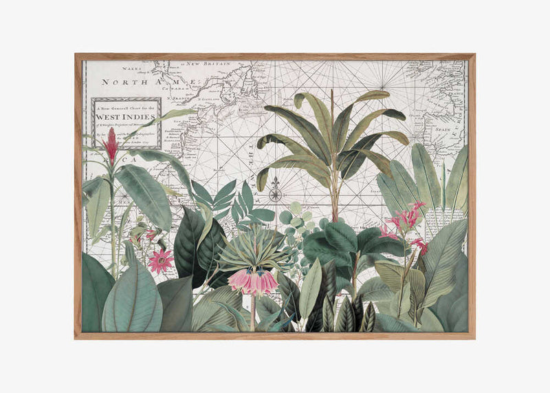 Exotic Wildlife 005 1