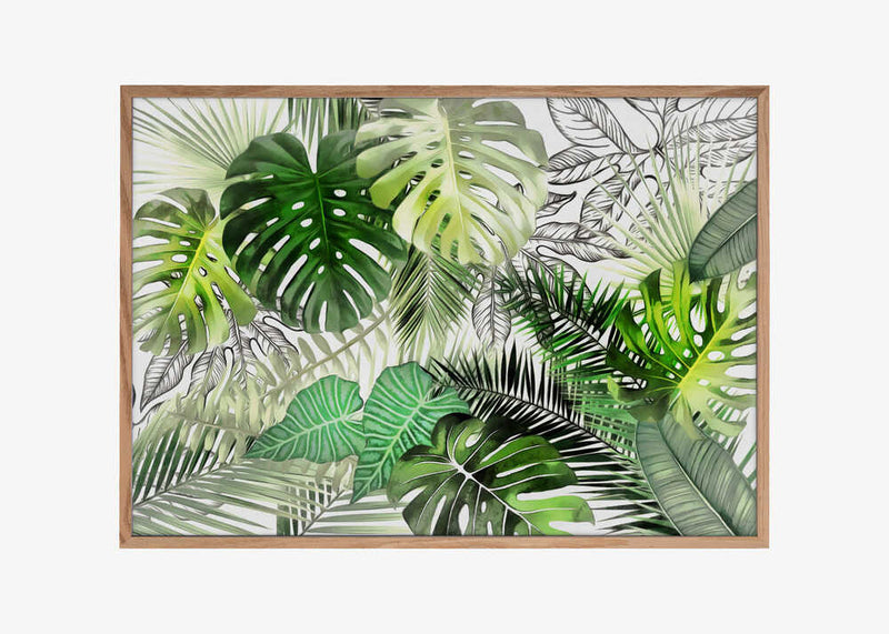 Tropical Foliage 01
