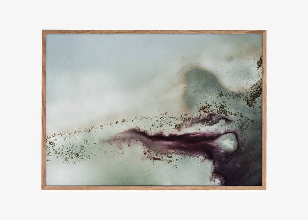 Petra Meikle de Vlas