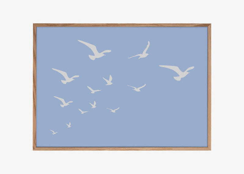 Seagulls Blue Background