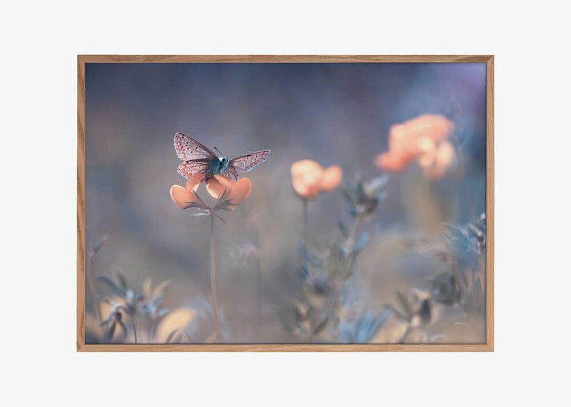 The Lady of Lothlorien