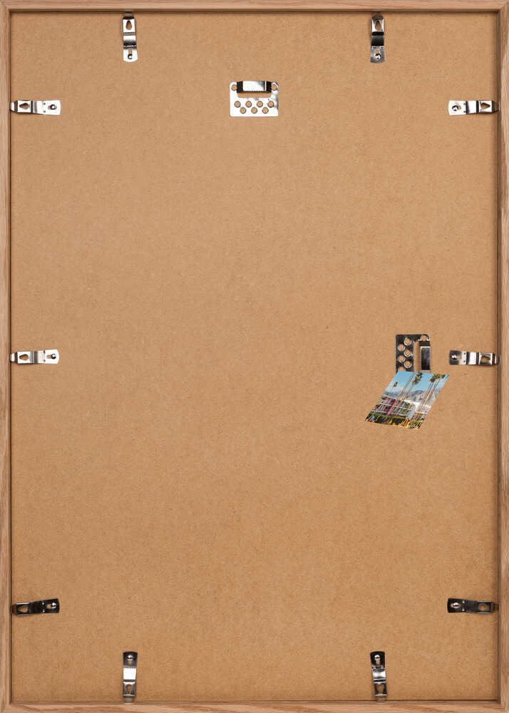 Palm Springs Saguaro