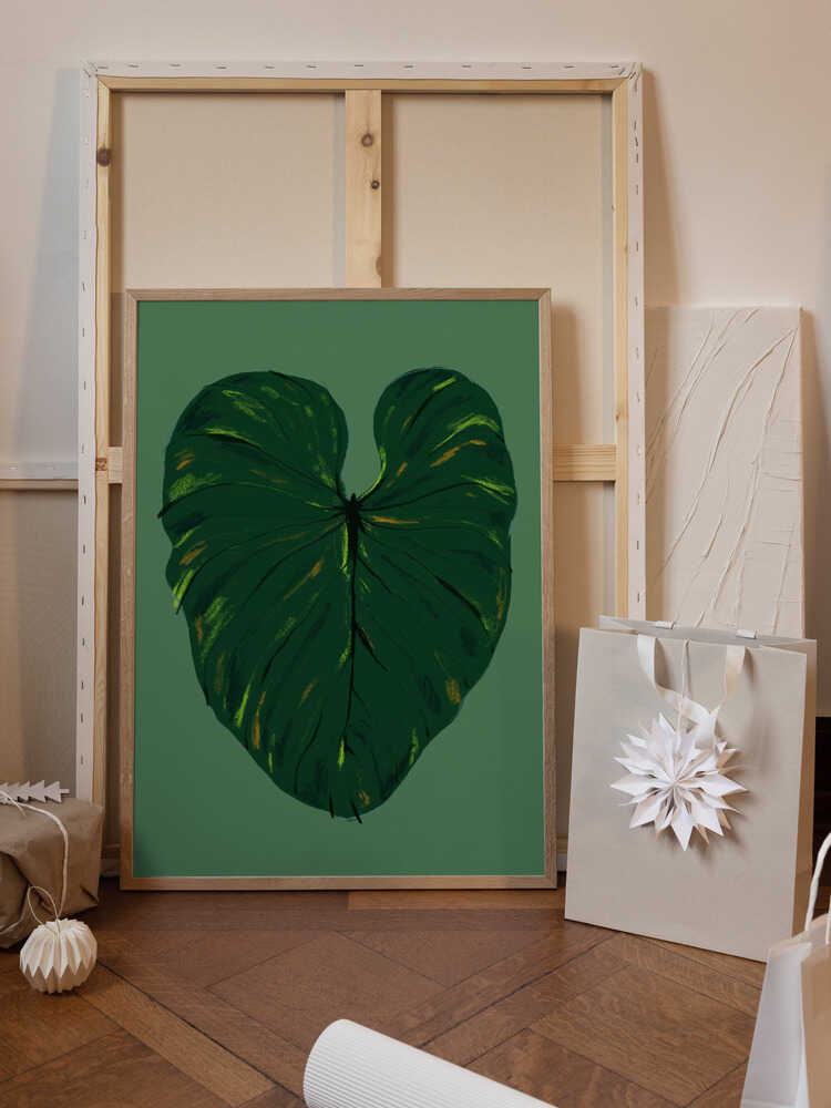 Philodendron Gloriosum Green