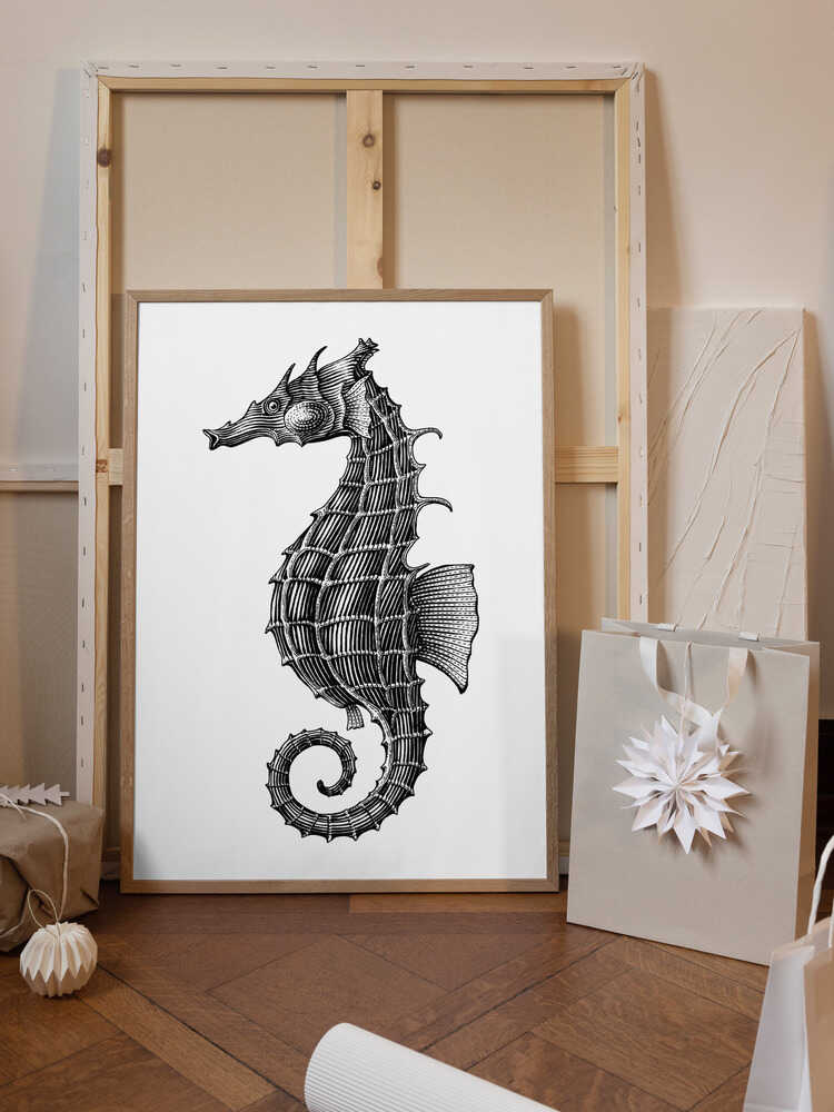 Seahorse