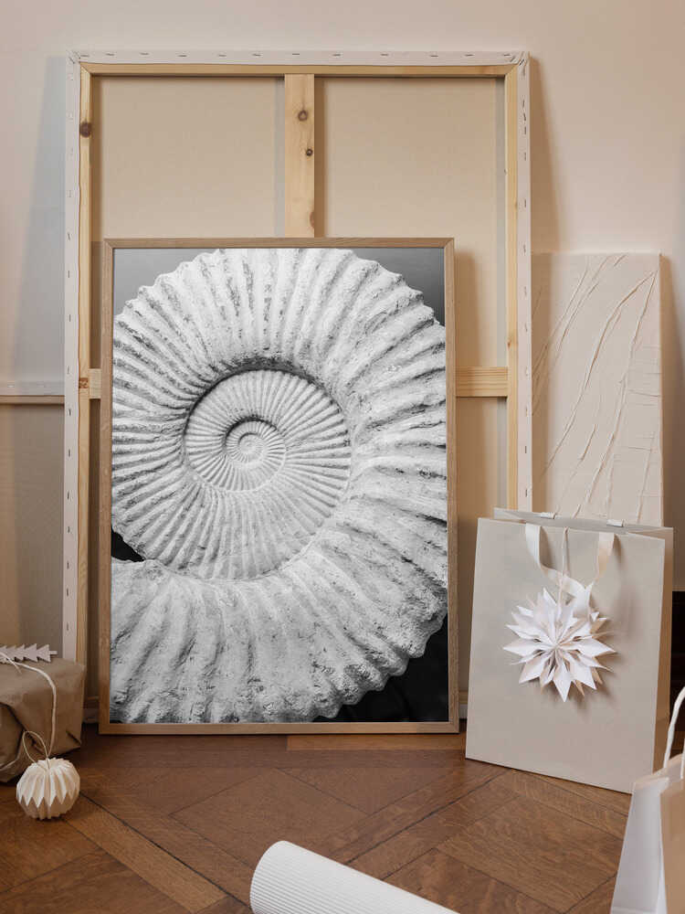 Ancient Spiral Dreams