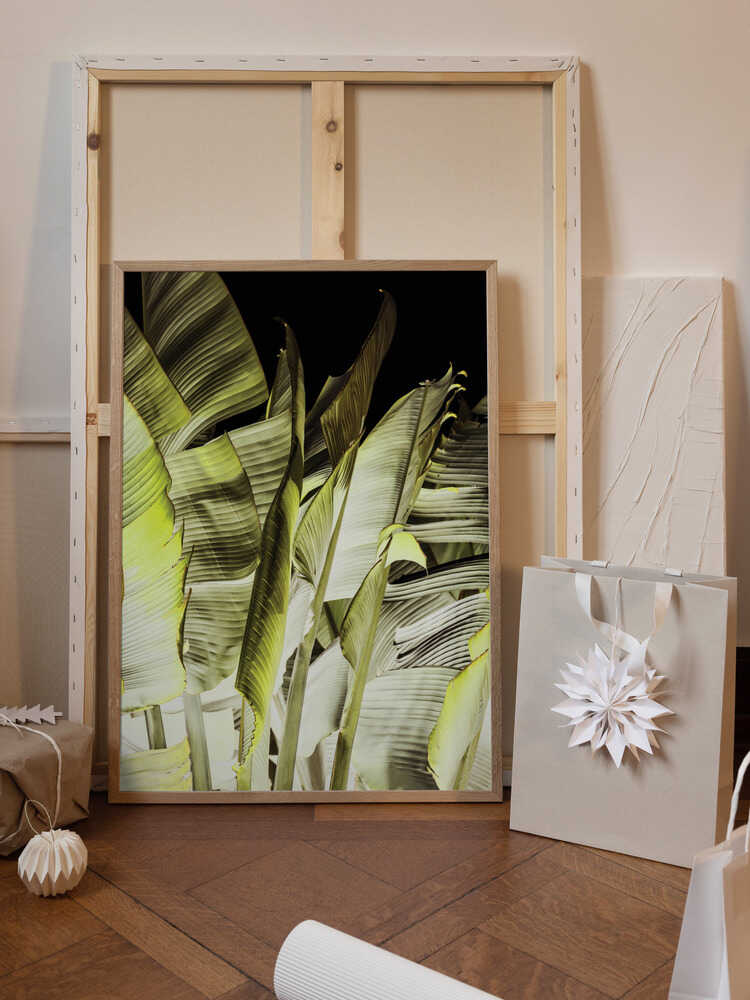 Banana Leaves In Soft Lighting