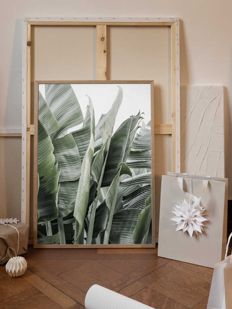 Banana Leaves In Soft Lighting