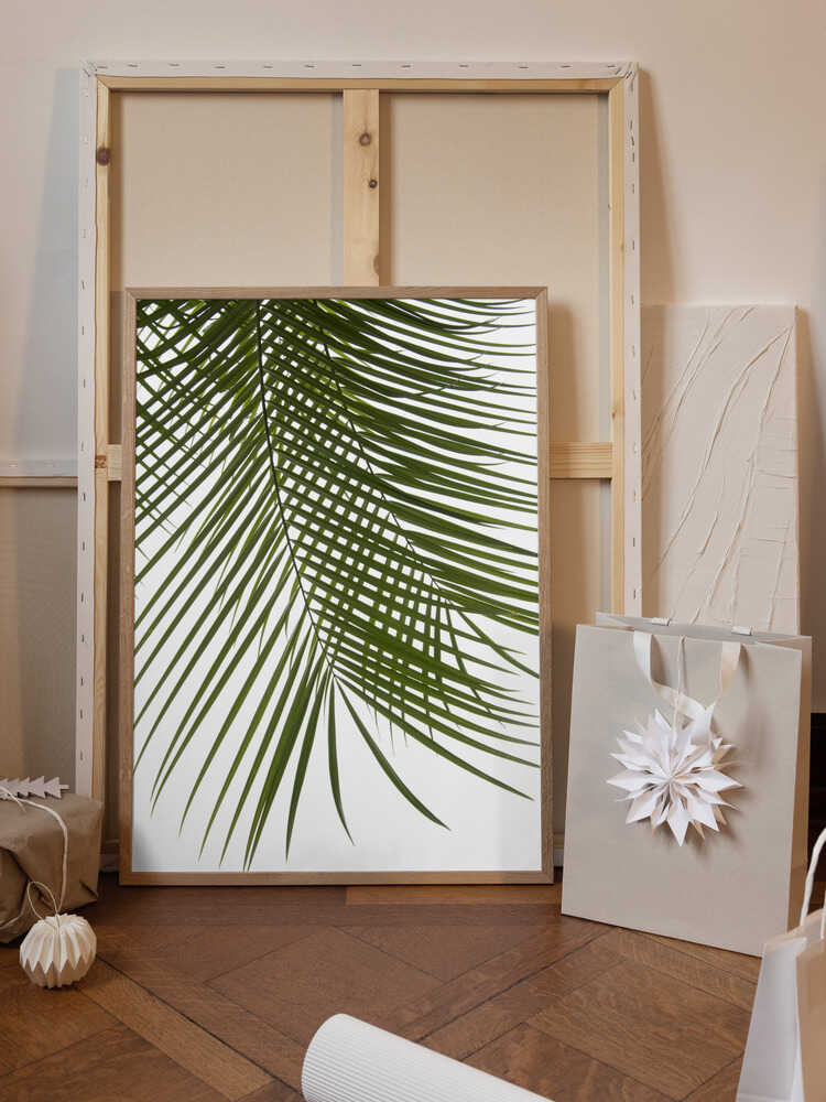 Palm Leaves Foliage Photo IV