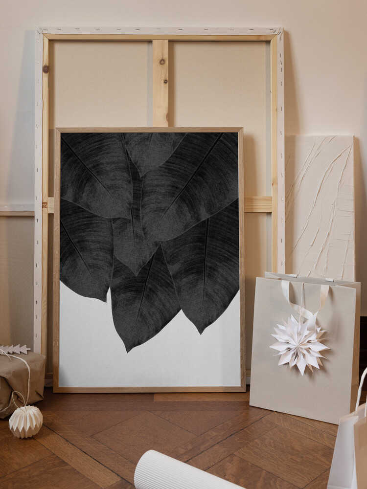 Banana Leaf Black &amp; White III