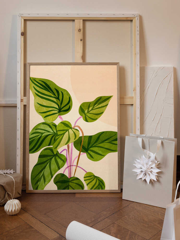 Thriving In the Sun V2