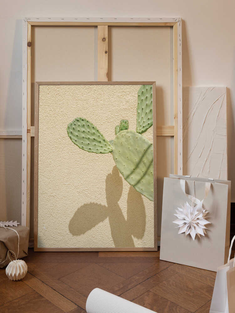 Cacti Shadowplay