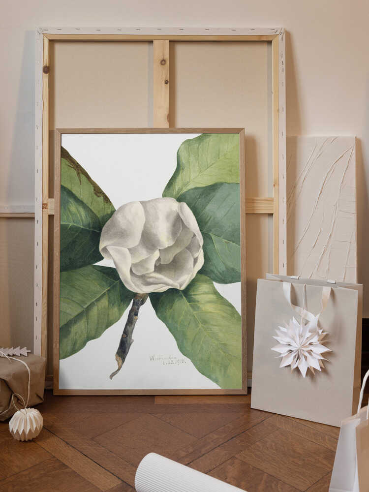 Southern Magnolia (1918)