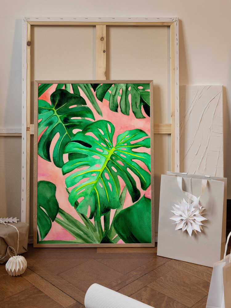 Monstera