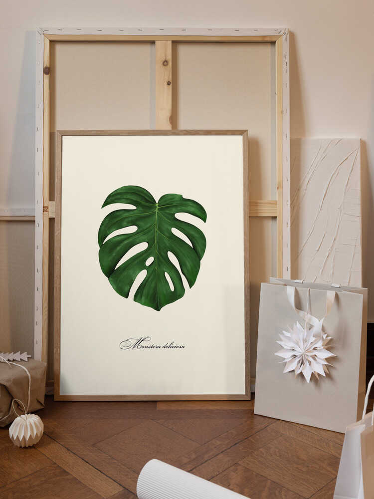 Monstera