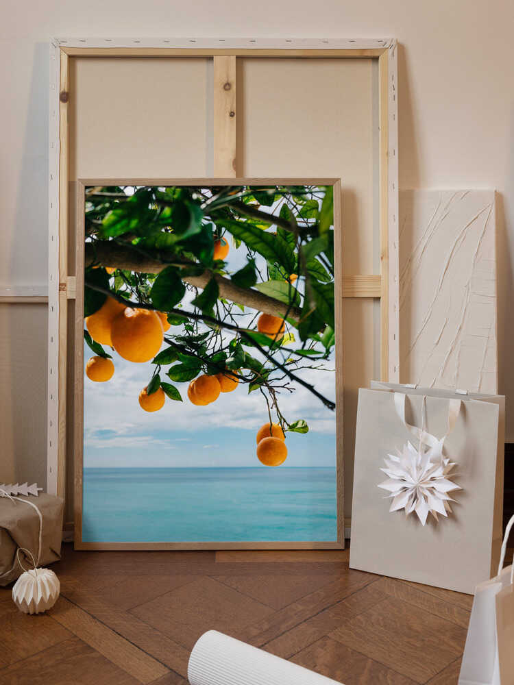 Amalfi Coast Oranges IV