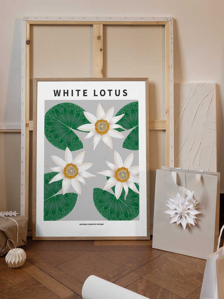 White Lotus - National flower of Vietnam