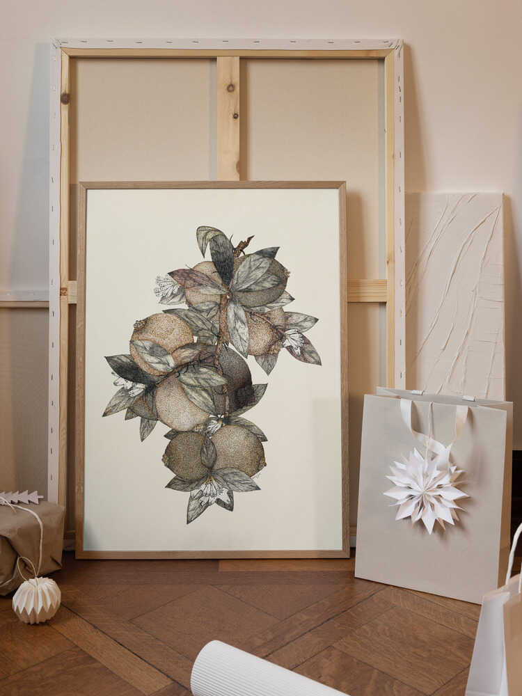 Pomegranate (1867) Rufus King