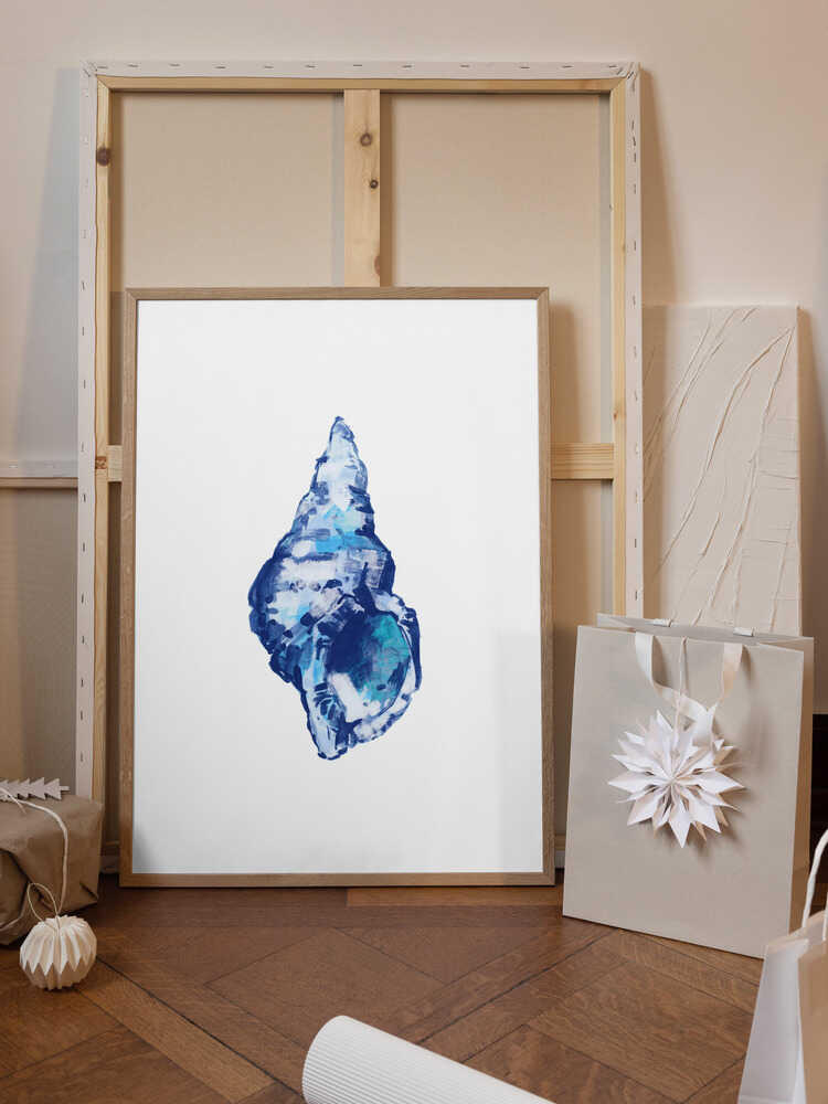Blue Seashell On White Background No 2