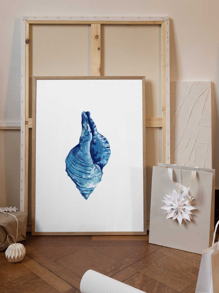 Blue Seashell On White Background No3