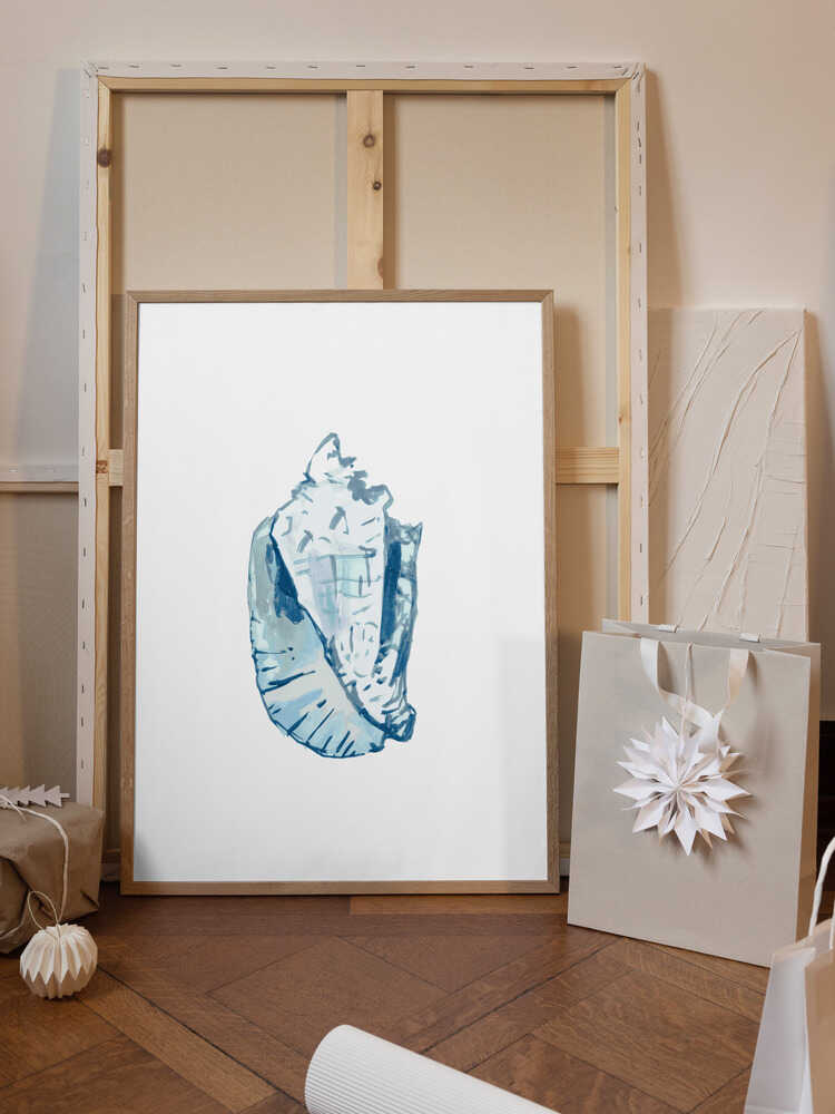 Blue Seashell On White Background No6