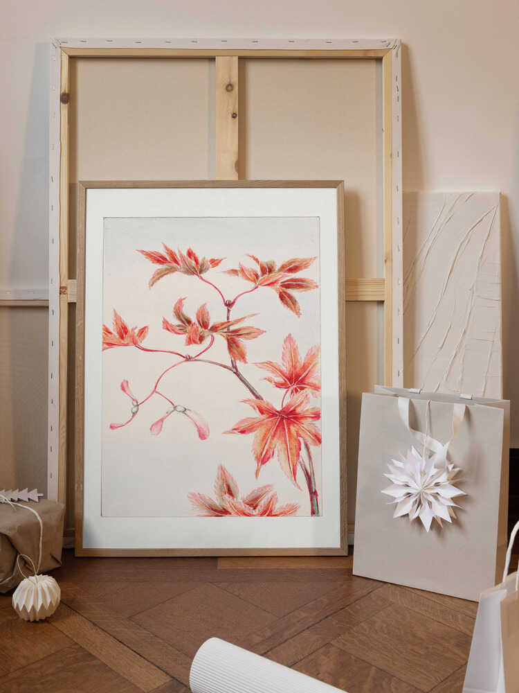 Branch of Momiji Maple Tree With Leaves and Seeds During 1870–1880