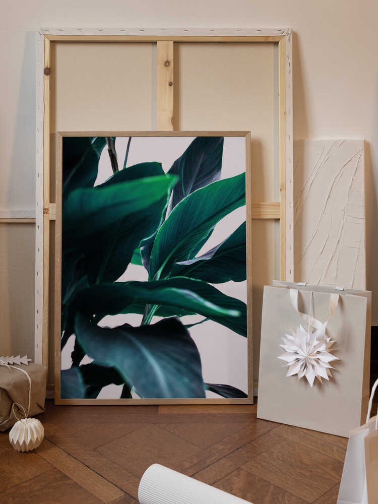 Elegance Of Tropical Leaves