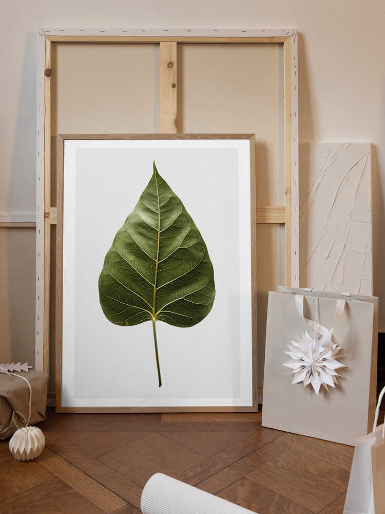 Leaf&#039;s Intricate Veins