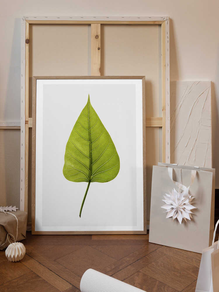 Single Green Leaf With Intricate Vein Patterns