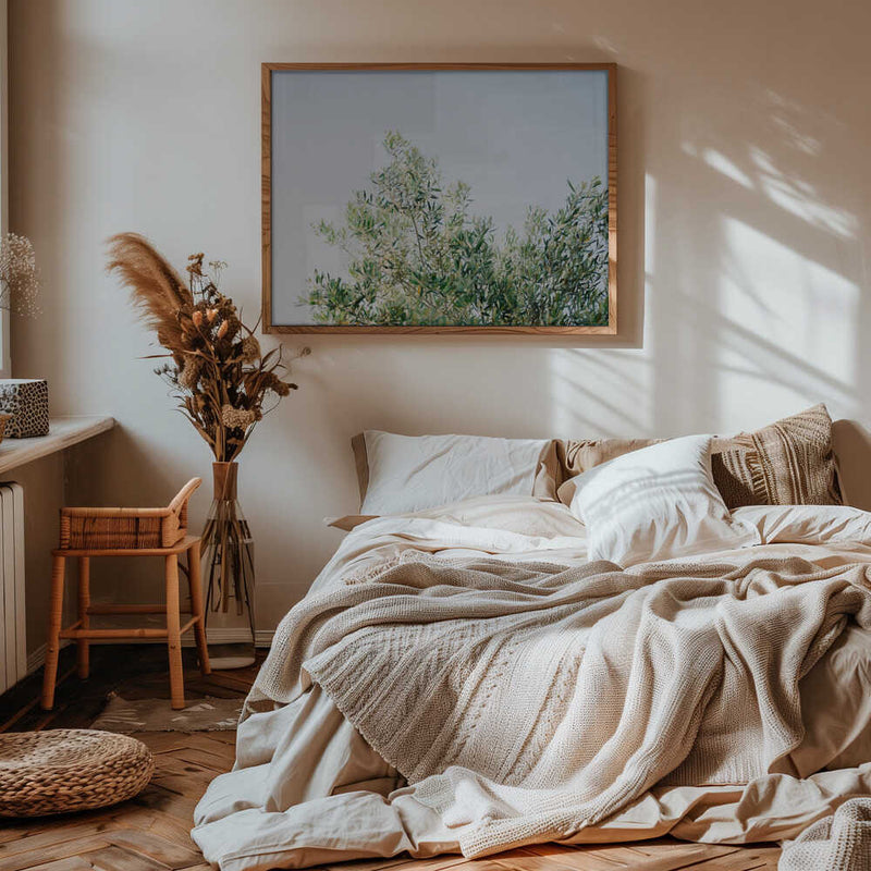 Olives In Ostuni | Italy Travel Photography